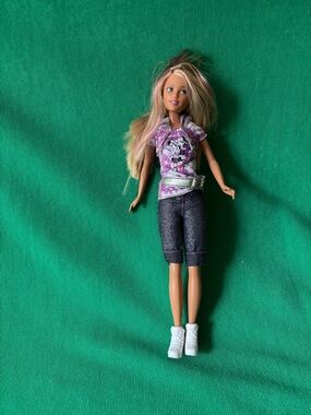 2008 Skipper Sister Of Barbie Doll -  Camping Family Original outfit